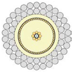 favicon.jpg